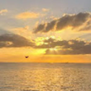 Meet your Posher, Kayli